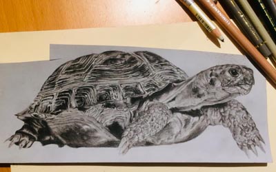 Luisa Piglione - Work in progress - Guarire