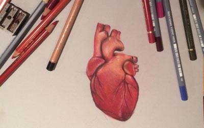 Luisa Piglione - Work in progress - Pesi e misure